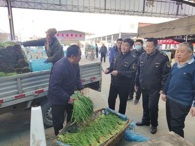 济南市市场监管局开展农批市场专项检查